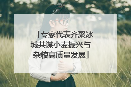 专家代表齐聚冰城共谋小麦振兴与杂粮高质量发展